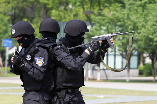 海宁警察科书式擒拿