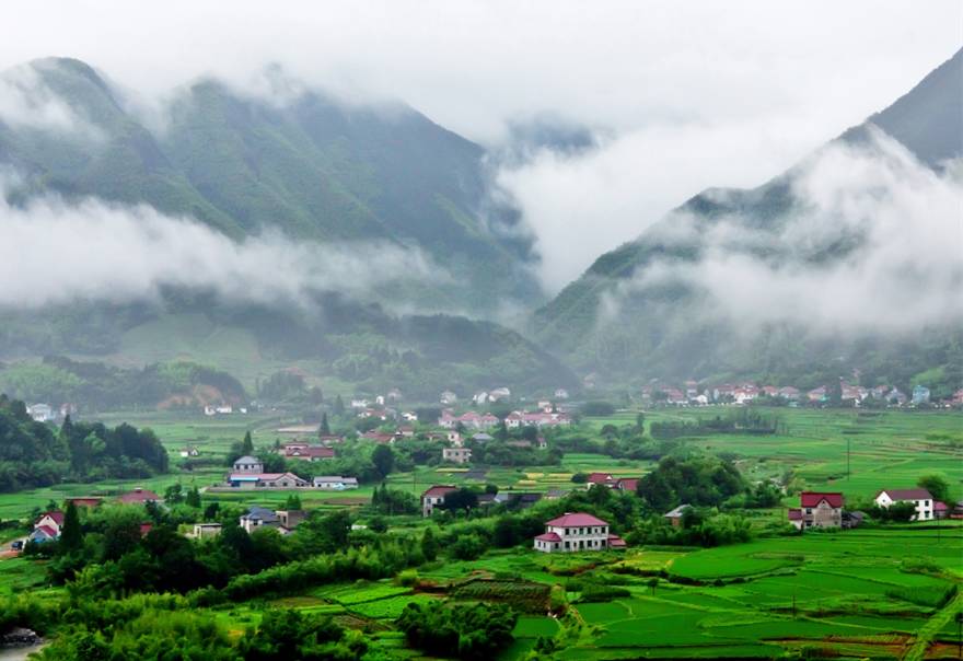 浙江有无数美丽乡村散落在绿水青山间,农家乐在这些田园山水,村落民居