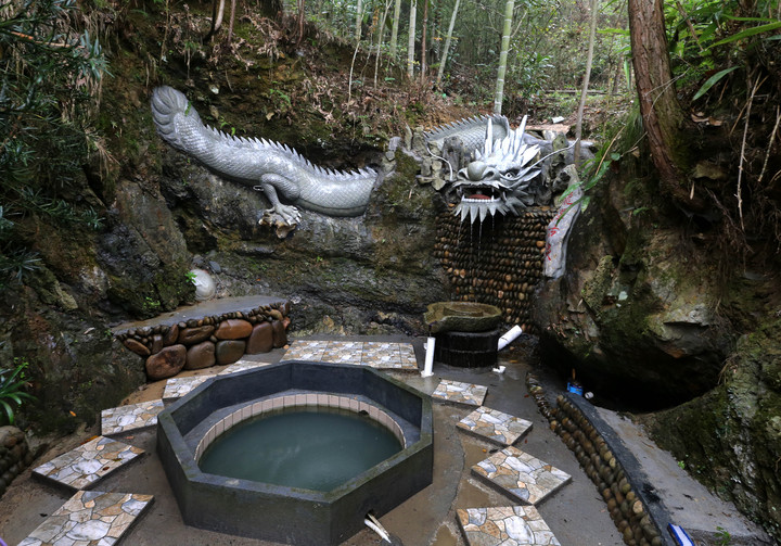 一条神气活现的龙围绕着水井.