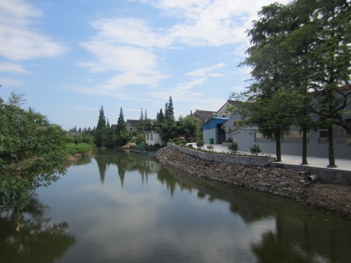 海盐的这个镇在创建全国示范 到底牛在哪里?