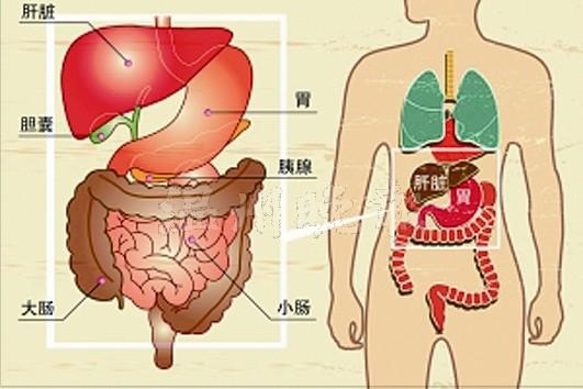 胰腺炎反射区的位置图图片