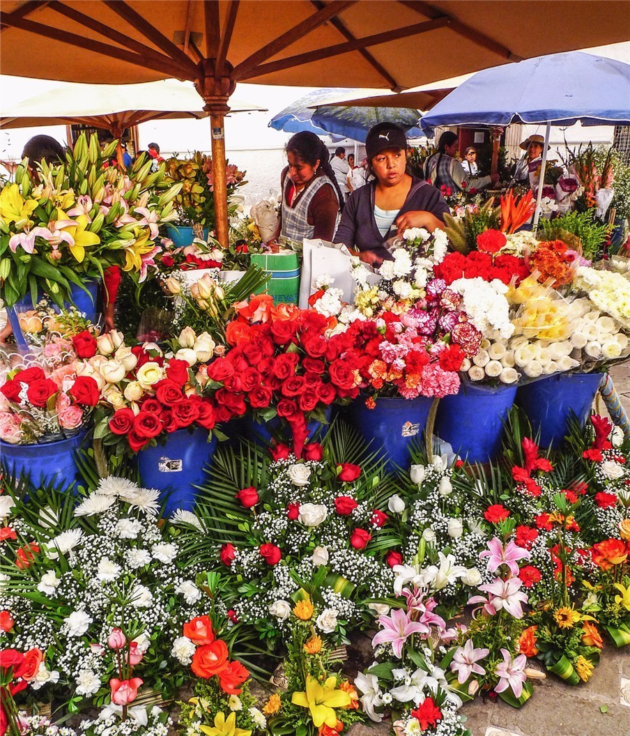 新年就该逛花市 去全球10大最美花市挑束点亮生活的鲜花! - 手机新蓝