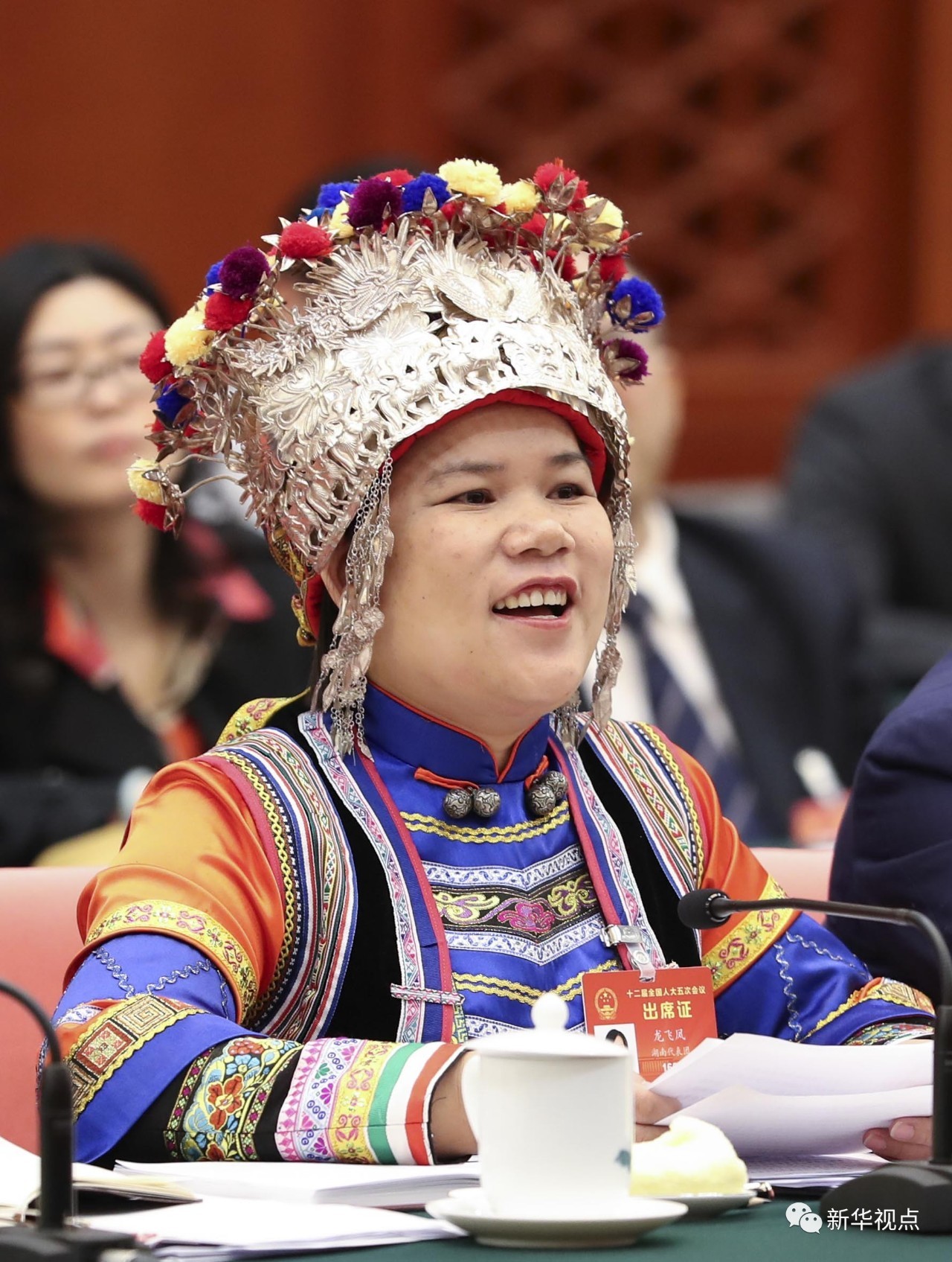 湖南团代表龙飞凤