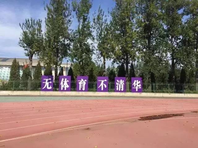解读:"旱鸭子"为啥走不出清华的校园门?