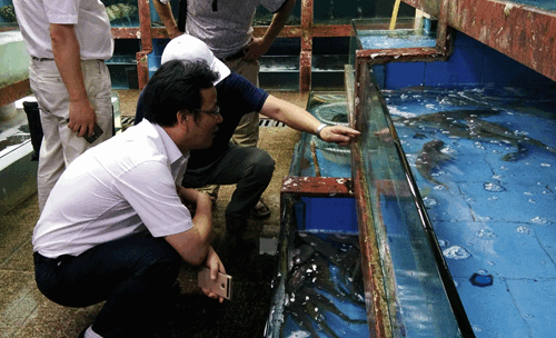 为了吃到最正宗的海鲜 宁波人把东海海水搬进了城