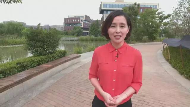 浙江卫视付琳出生日期图片