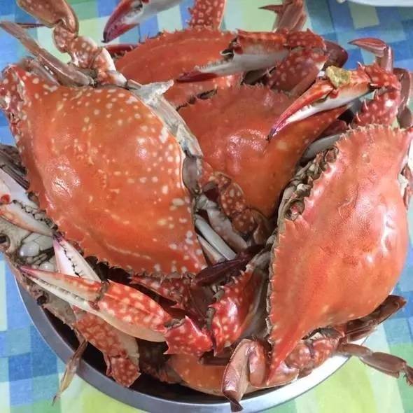 浙江人最爱的这种海鲜竟发现寄生虫!千万要烧熟了吃