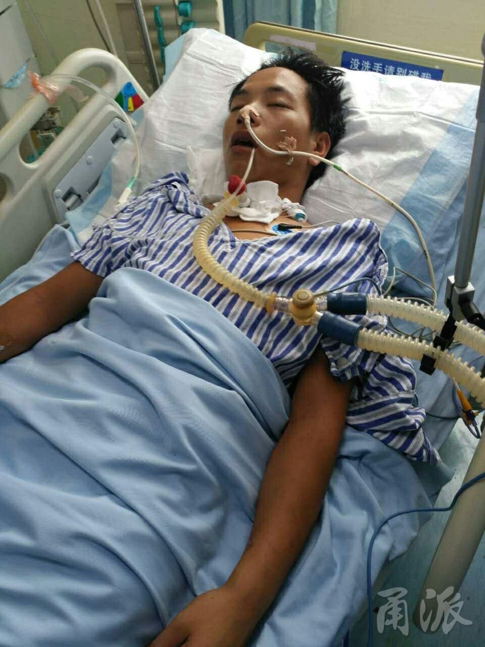 宁波象山一渔民被蚊子咬后昏迷38天 原本年底要结婚