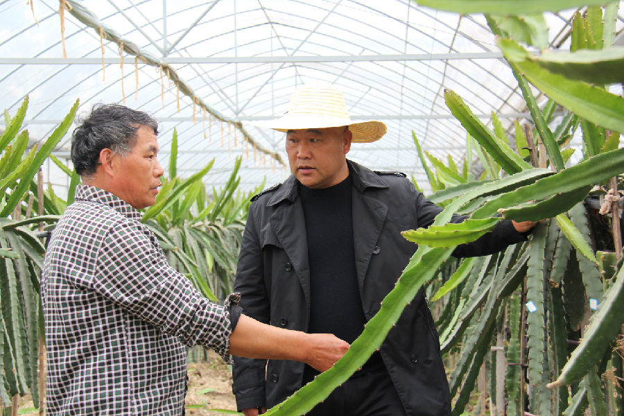 2017金牛奖候选人 陈照米