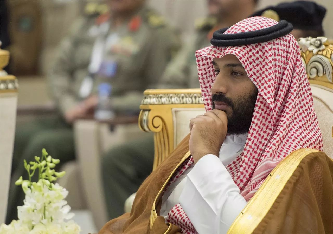 沙特国王王储图片