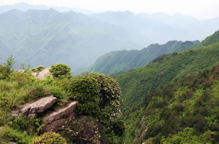 77公頃,包括黃壇口水庫和湖南鎮水庫兩大庫塘溼地,注入兩大水庫的溪流