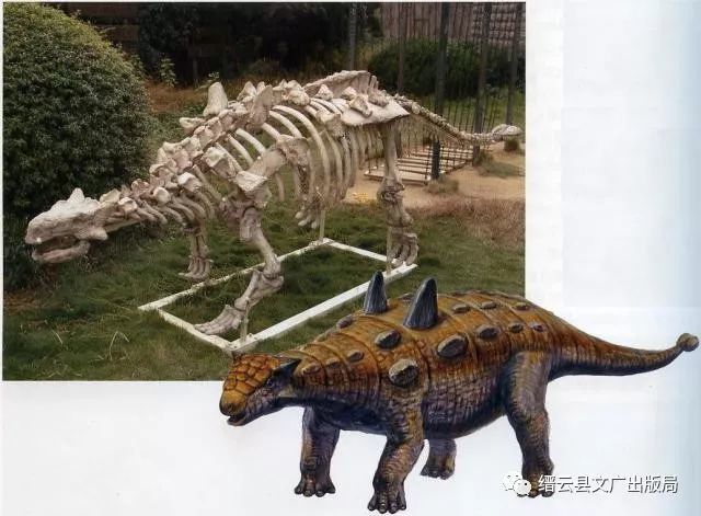 丽水恐龙有名了 "中国缙云甲龙"长啥样?