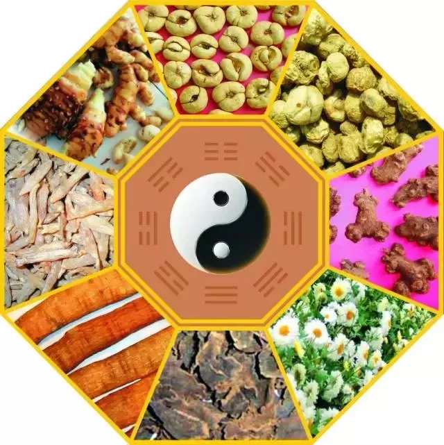 新"浙八味"中药材培育品种名单出炉 哪些药材入选了?