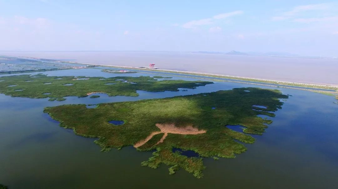 春水初生,大江入海,30秒鸟瞰大美江东