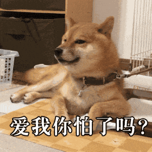 301_300gif 动态图 动图