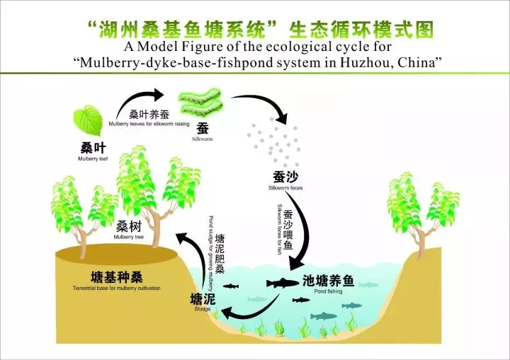 桑基鱼塘系统区域内的钱山漾遗址中发掘的绢片,丝线,丝带,丝绳等丝麻