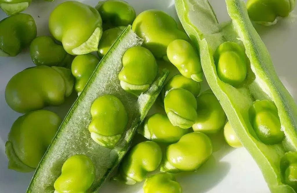 今日立夏 这些时令美食你都吃了吗?想减肥的今天千万不要称体重!