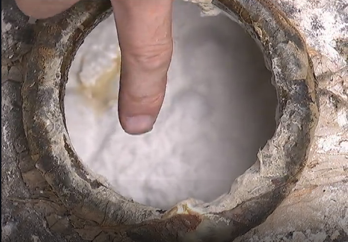 "会稽山"黄酒变质怎可好?