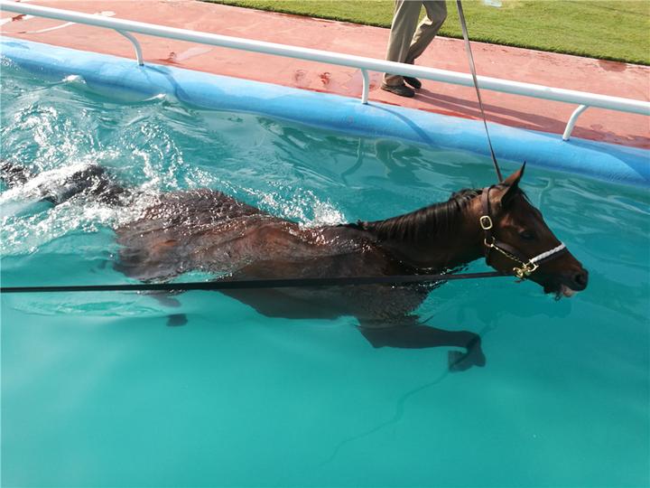 金华小伙在剑桥大学"一带一路"国际论坛演讲,他的牛掰人生是怎样炼成