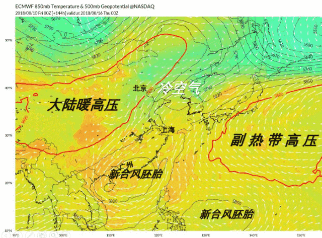 台风"摩羯"又直奔江浙沪而来 或在12日夜间到8月13日凌晨登陆