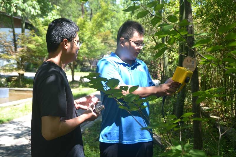 桐庐的森林能治病 中国首例森林疗养实证研究阶段性成果在桐庐发布