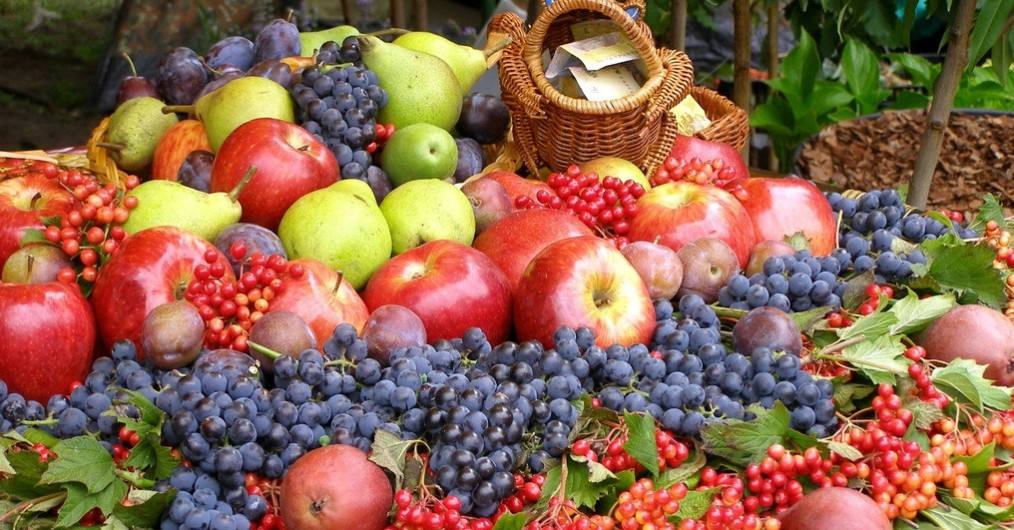 进入瓜果飘香季 你还在谣言"指导"下吃水果?