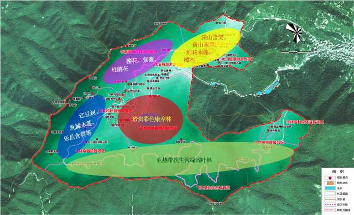 和单调的马尾松林说再见 杭州午潮山8000多亩森林要变油画!