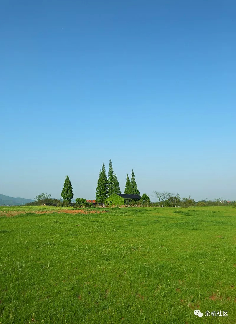 6月,老104国道边上,还有很多卖桃子的小贩,因为这里曾经是大观山果园