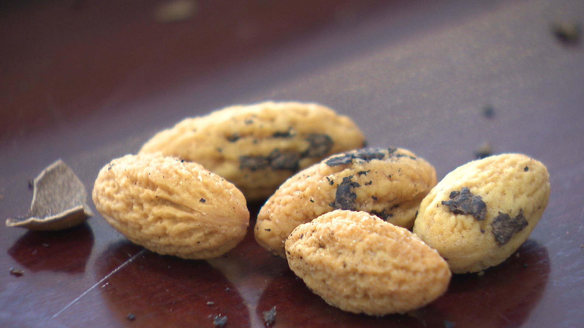 嵊州香榧闹大了!20个品牌大pk 千年榧林还上演大片……_新蓝网