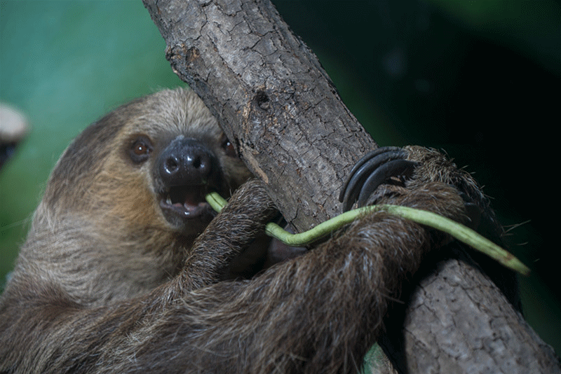 800_534gif 动态图 动图