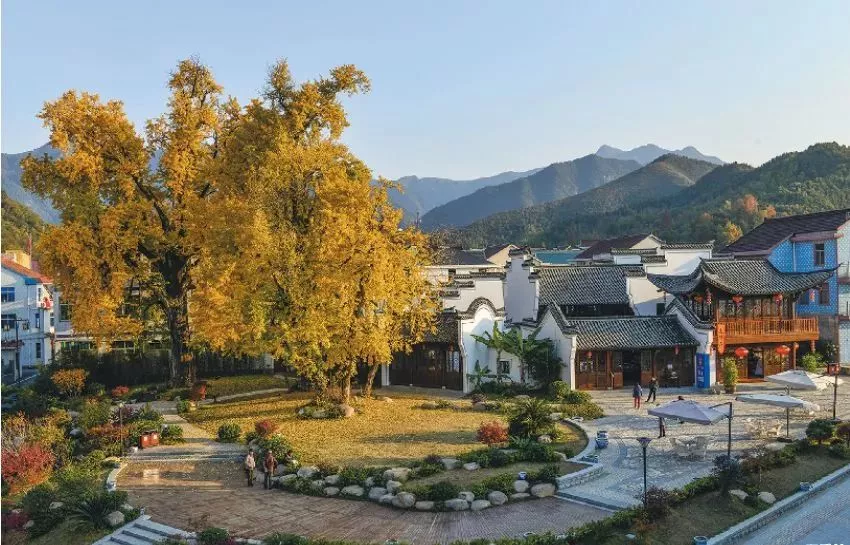 《桐庐原来这么美》城市形象宣传片今天首发!一睹为快