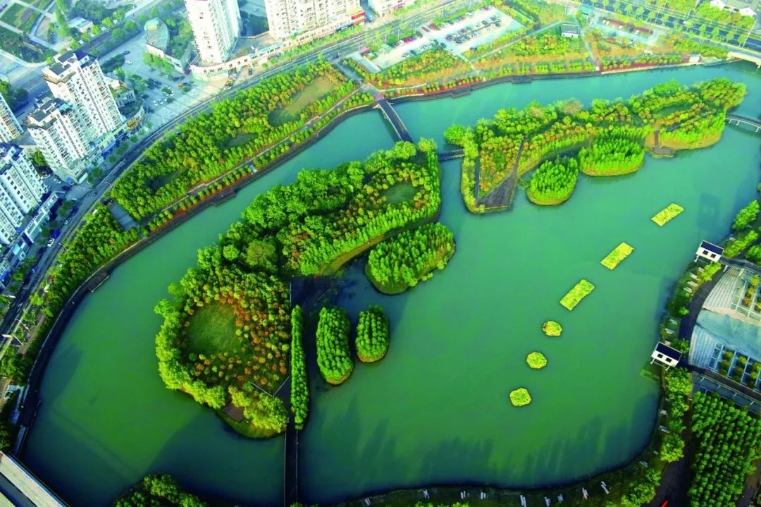 "国家级"起点 德清莫干山成为天目山国家森林步道开端