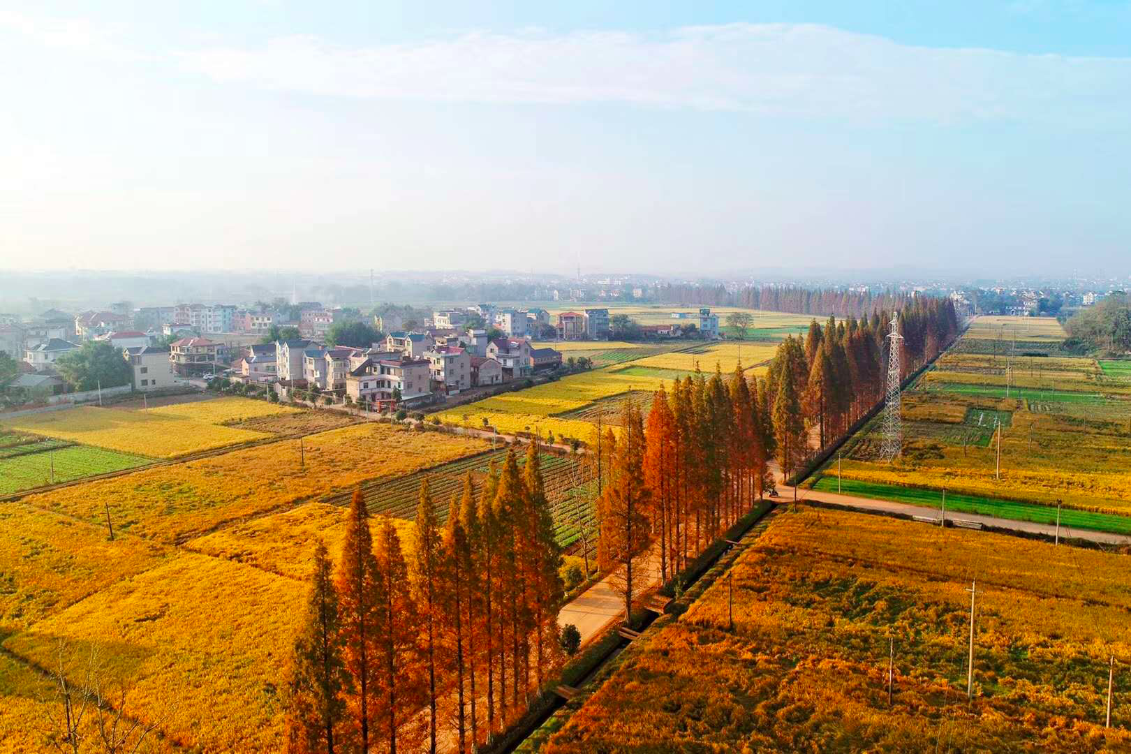 衢州市柯城区:小城镇蝶变新生,开启美丽乡村建设新篇章