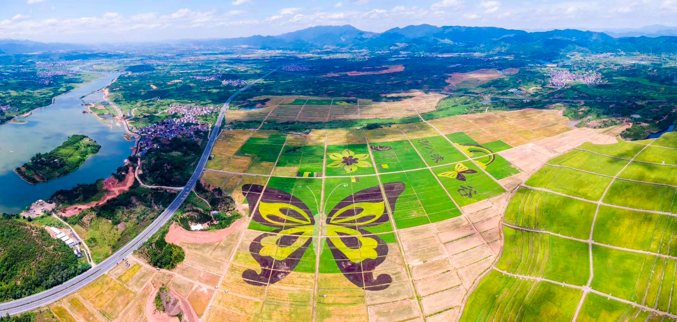 衢州市柯城区:小城镇蝶变新生,开启美丽乡村建设新篇章