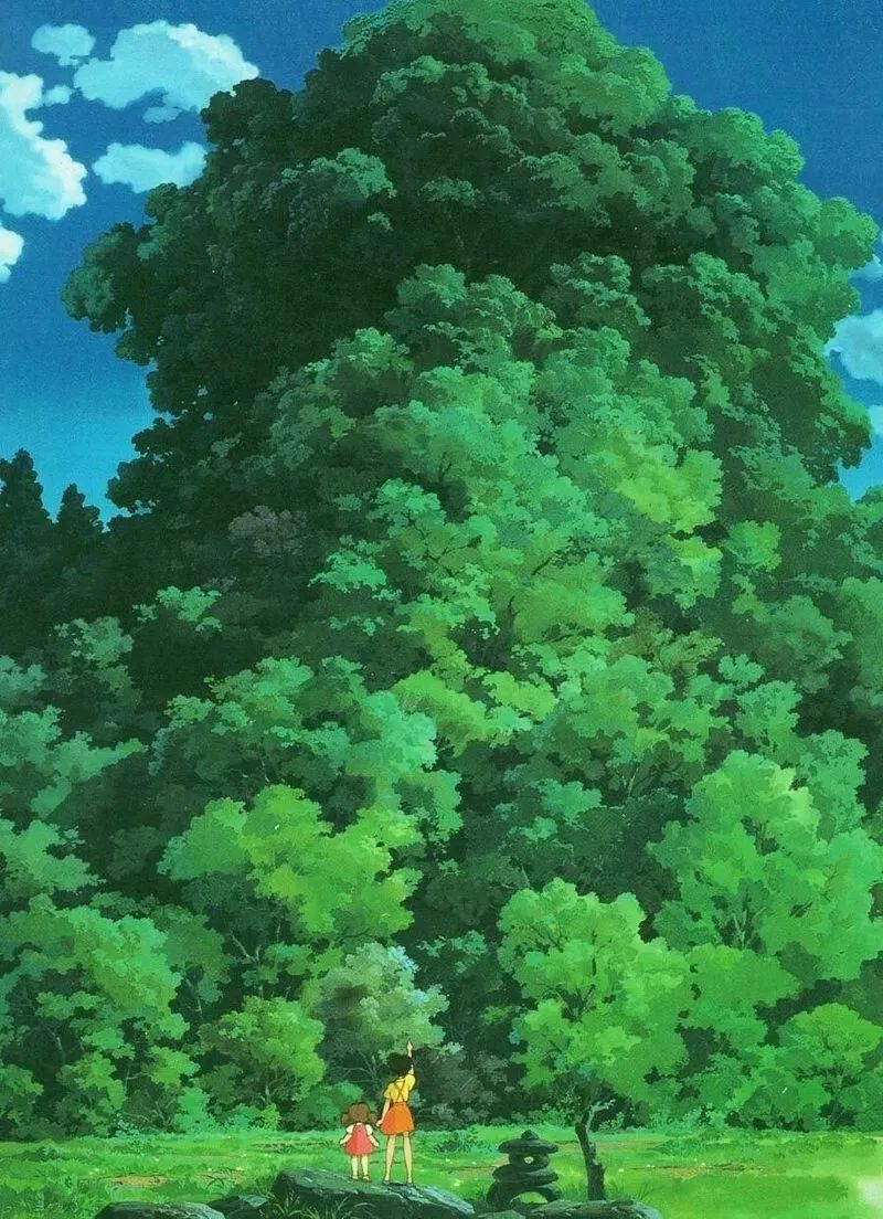 宫崎骏的《龙猫》里的苍天古树,竟在云和也有,现实版童话森林!