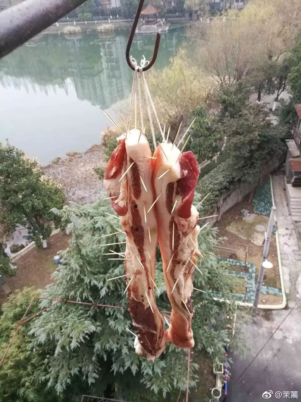 "大户人家"阳台晒香肠腊肉,网友担心的事情果然发生了