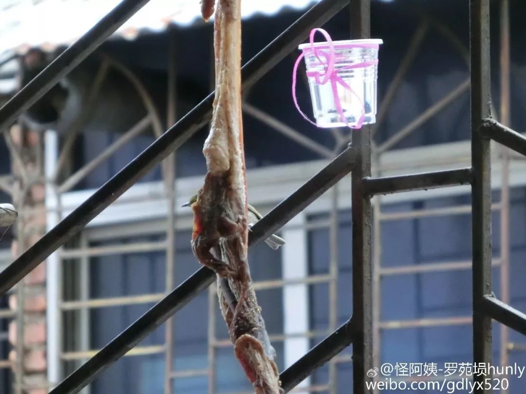 "大户人家"阳台晒香肠腊肉,网友担心的事情果然发生了