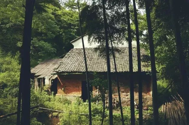 隐居山林的房子图片集图片