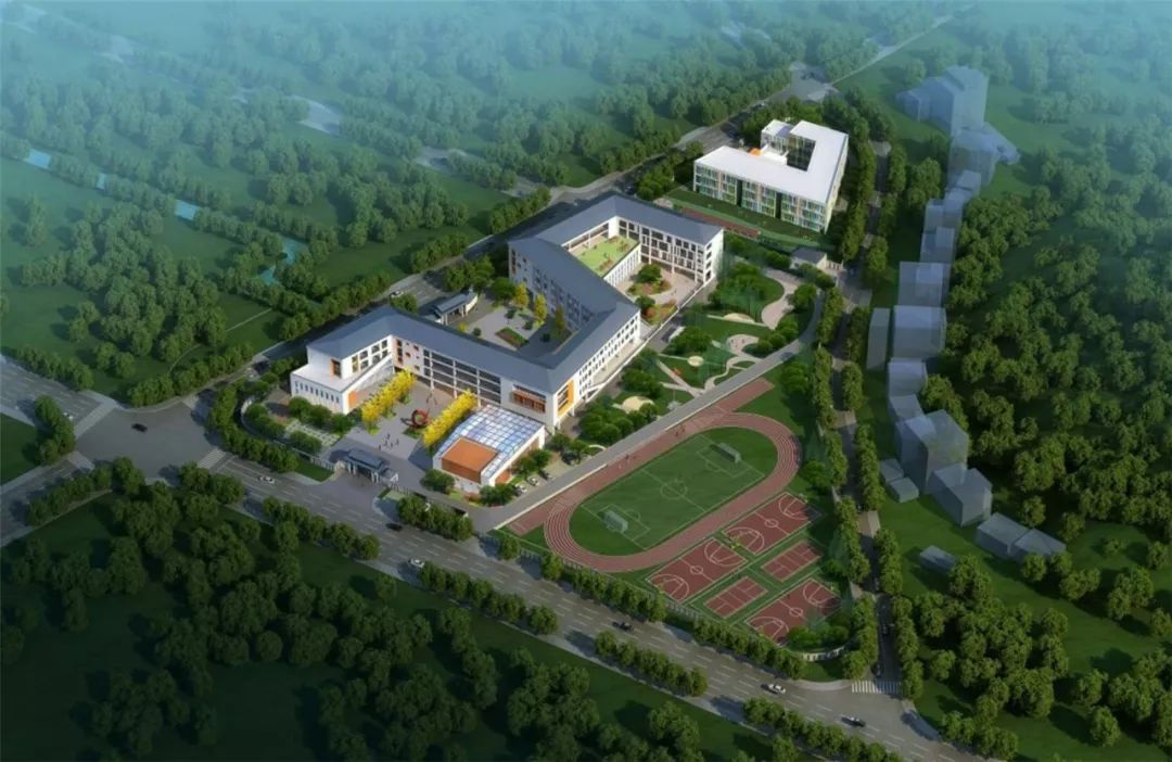 龙泉市城东小学新建项目鸟瞰图