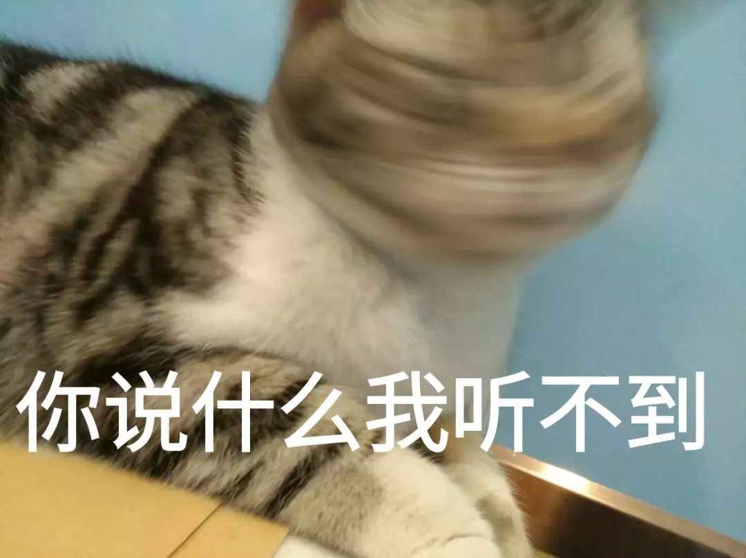 听了一晚上歌,早上起来突然就什么都听不到了.怎么回事?