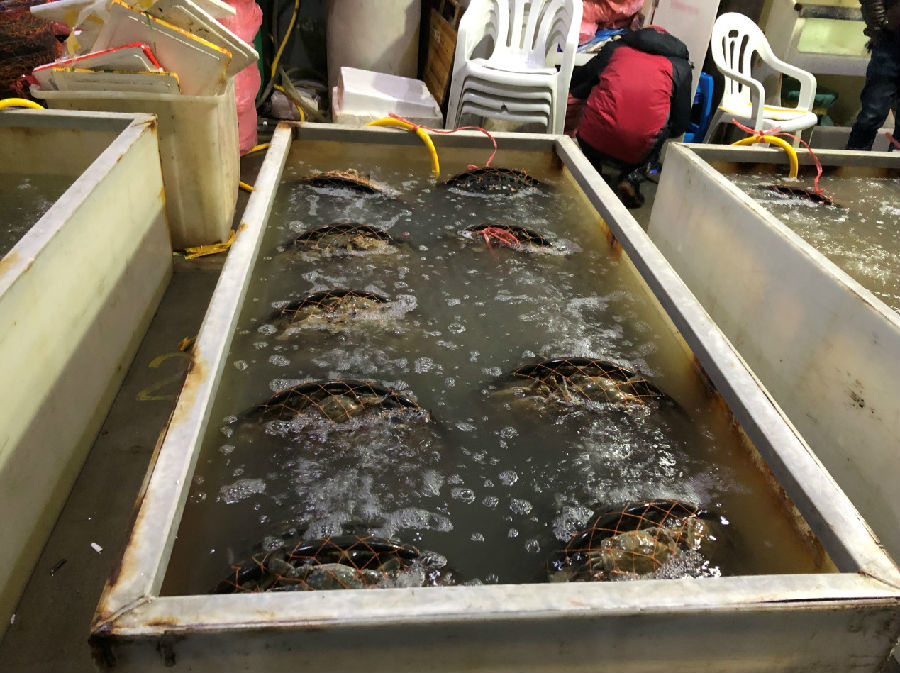 新闻调查:被"绑价"的螃蟹 为何难除"身外物"? (二)