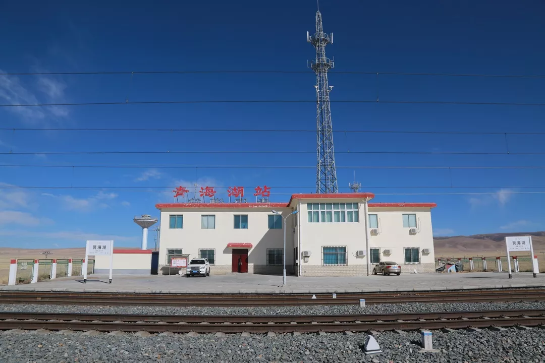 一个人的春运 是什么样子呢?