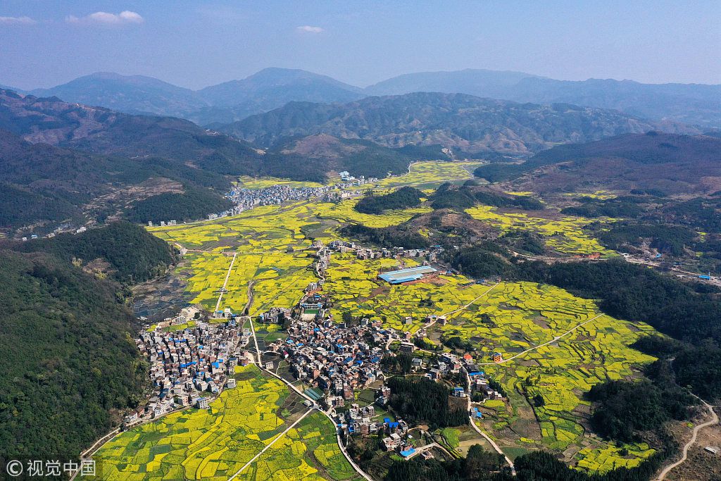 2019年3月10日,贵州省黔东南苗族侗族自治州从江县洛香镇油菜花进入盛