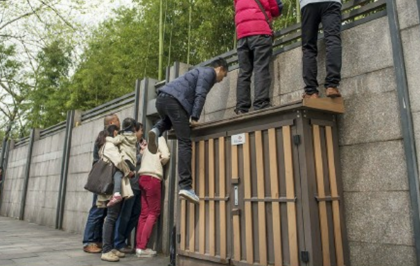 侃) 就在昨天 杭州第十四中学外面 围满了不少的"偷看者" 有爬围墙的