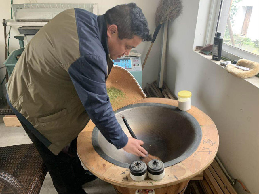 "贵如金"的西湖龙井明前茶忙采摘 这些窍门要知道