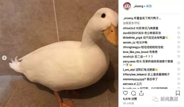 【围观】95后妹子卖鸭子一万五一只!王思聪都买了俩