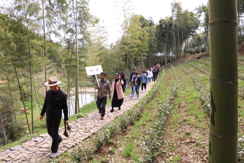 图为3月31日,在湖州市吴兴区埭溪镇大冲村,游客们正在爬阳岩石古道.