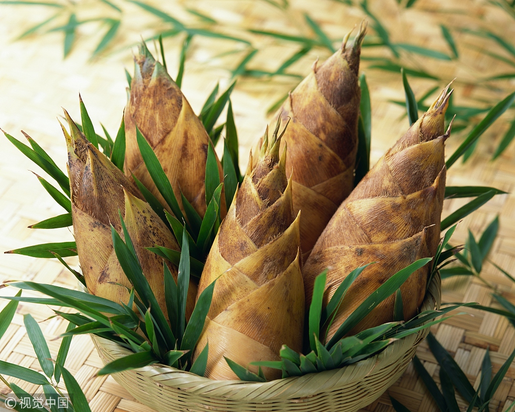 金秋重阳节浓浓敬老情