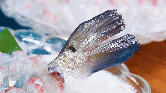 5.9折!大洋世家店庆8天!还有樱花季限定,日本直送野生樱鲷