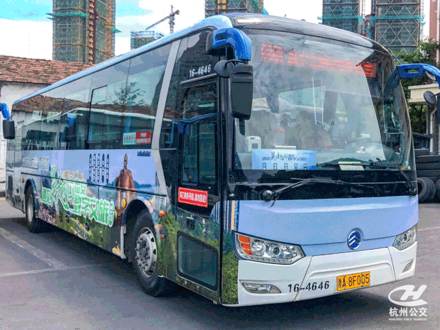 途经站点:杭州火车东站,杭州大厦,庆丰村,杭州汽车西站,临安汽车东站